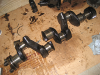 image-2999241834.png