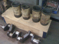 image-1959444929.png