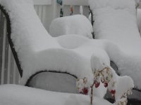 DSC01240.jpg