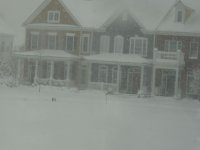 DSC01242.jpg