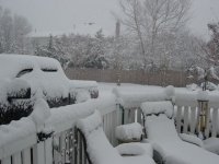 DSC01239.jpg