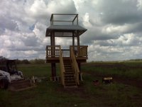 IMG00256.jpg