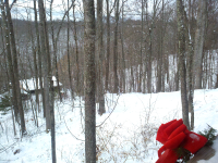 ForumRunner_20101226_152151.png