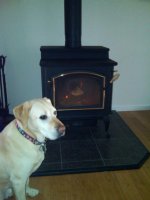 Boston with the woostove.JPG