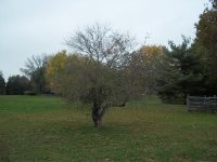 000_0020.JPG