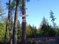 PostedSigns 004.jpg