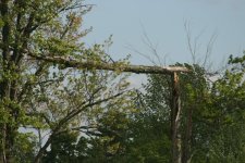 IMG_1202.jpg
