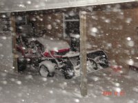 blizzard 12:27:10-1.JPG