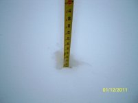 915_1998.jpg