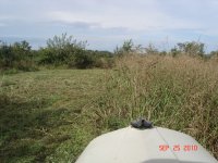 DSC00017.JPG