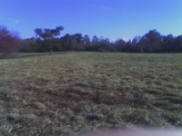 pasture 3.jpg