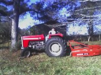 pasture 4.jpg