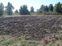 10-05-10 010.JPG