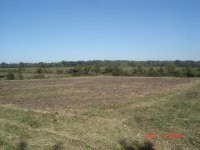 10-05-10 013.JPG