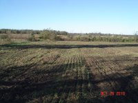 Food Plot 002.JPG