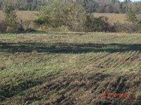 Food Plot 003.JPG