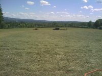 Hay 2010 011.jpg