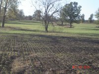 Food Plot 007.JPG