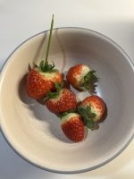 IMG_8810.jpeg