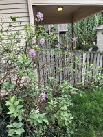 IMG_8501.jpeg
