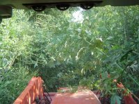 Wade Farm 003.JPG
