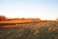 DSC_1667.jpg