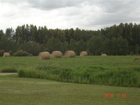 bales front of house.JPG