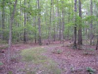 DSCN7088.jpg