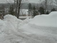 drive down (Small).JPG