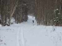 Skiing2.JPG