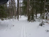 Skiing3.JPG