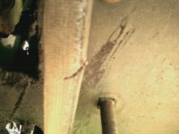 1116101606_01.jpeg