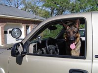 Spotlight Dog 007.jpg