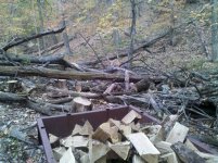 downedtrees.jpg