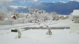 2010-12-29_08-13-34_351.jpg