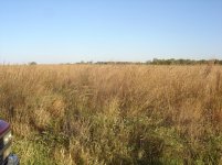 CRP 002.jpg
