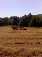 Hay 2010.jpg