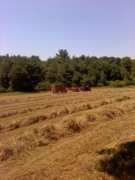 Hay 2010-1.jpg