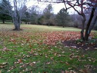 IMG_0582 (Medium).JPG