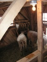 PICT0005.JPG