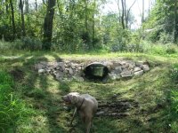 IMG_1394-webl.JPG