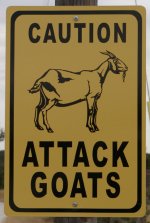 sign.jpg