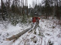 Firewood2.JPG