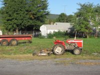 mf_mowing.jpg