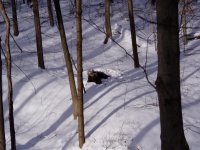 Dec 2010 028.jpg Dec 2010 028.jpg