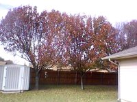 101207_001.jpg