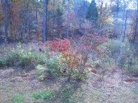 IMG_2856.JPG