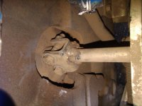 IMG00092-20101231-1540.jpg