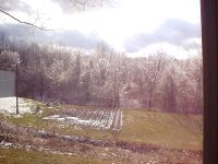 5-90180-ice.jpg