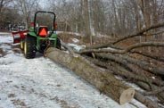 396192-logging3.JPG